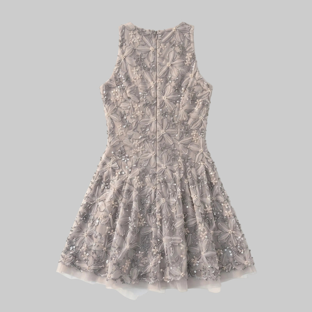 Ethereal Floral Embroidered Tulle Trim Dress