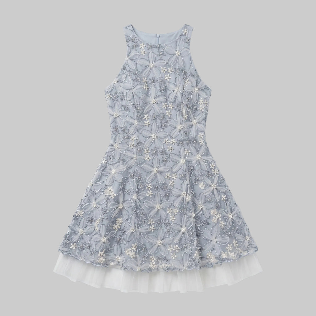Ethereal Floral Embroidered Tulle Trim Dress